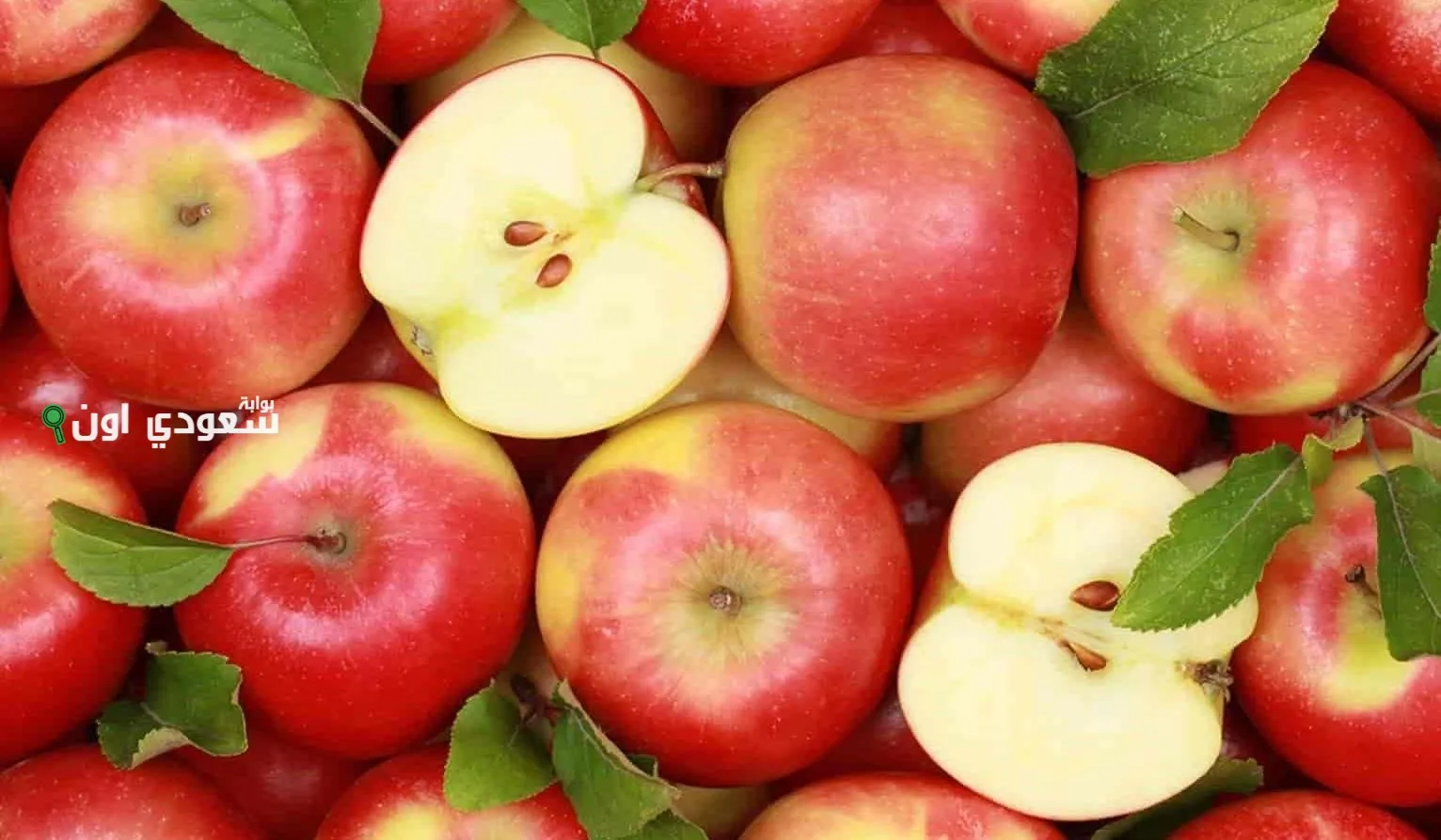 كيلو التفاح بكام اليوم السبت