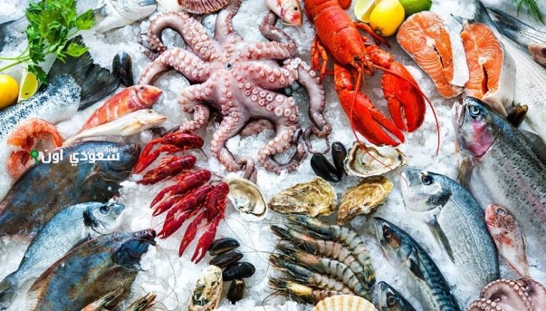 كيلو السمك البلطي بكام اليوم؟