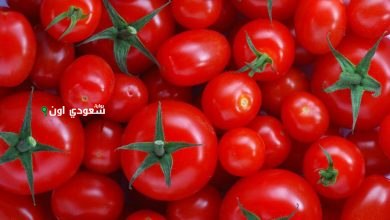 كيلو الطماطم وصل كام