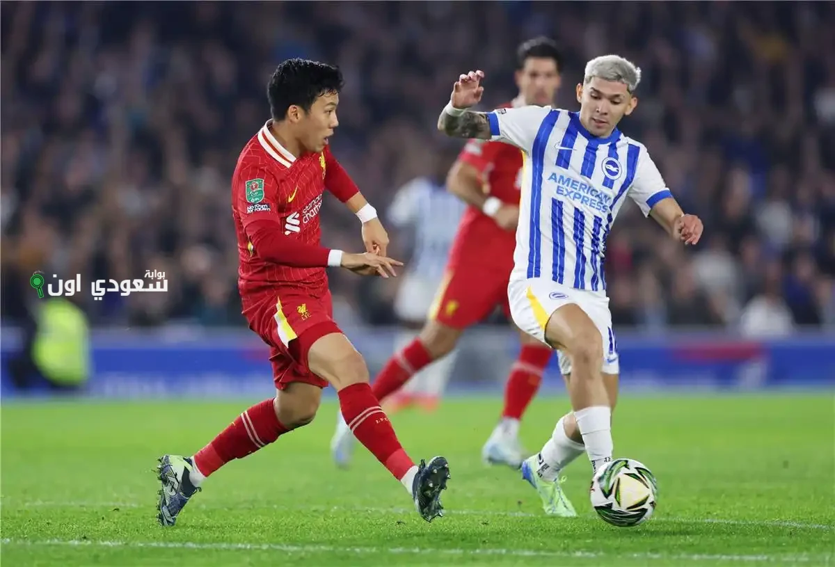 برايتون وليفربول