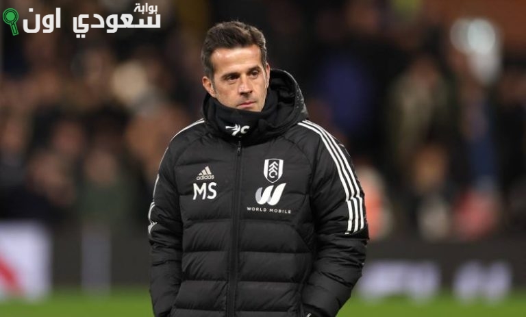 ماركو سيلفا