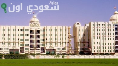 معهد مصر العالي للهندسة