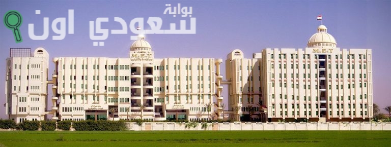 معهد مصر العالي للهندسة