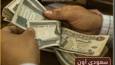 مكافأة المعلمين في مصر