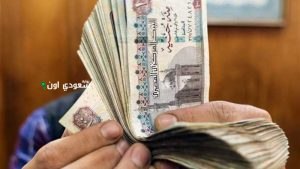 من يحق له الحصول على المعاش في مصر؟ شروط الاستحقاق بالتفصيل وفقاً للقانون الجديد