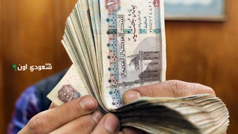 من يحق له الحصول على المعاش في مصر؟