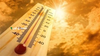 موجة حارة تضرب مصر في هذا الموعد الأرصاد الجوية
