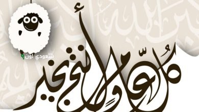 موعد إجازة "عيد الأضحى" و"وقفة عرفات" في مصر والدول العربية 2025