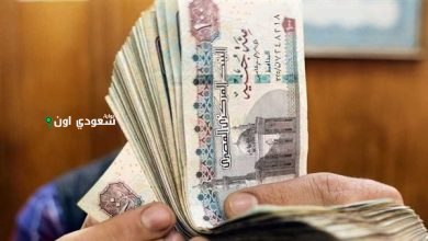 موعد تطبيق الزيادة الجديدة في المرتبات 2025
