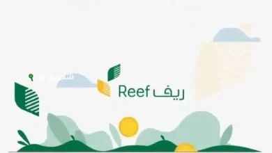 موعد صرف دعم الريف لشهر يونيو