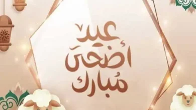 موعد وقفة عرفات وإجازة العيد في مصر 2025 رسميًا وفق الحسابات الفلكية