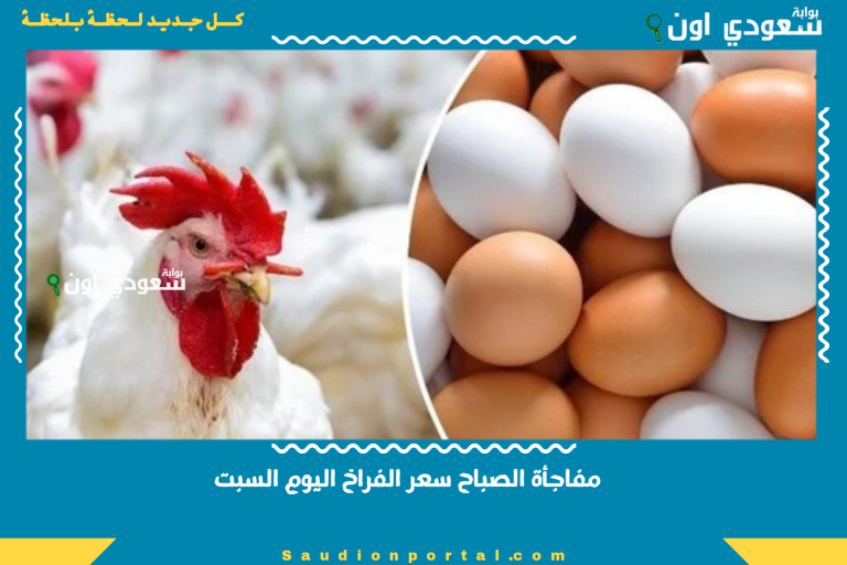 مفاجأة الصباح سعر الفراخ اليوم السبت