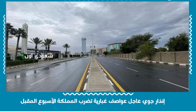 إنذار جوي عاجل عواصف غبارية تضرب المملكة الأسبوع المقبل