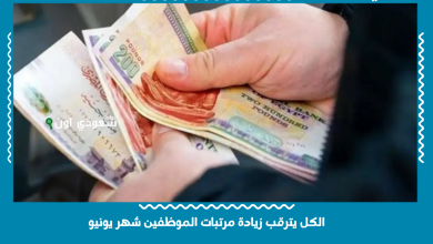 الكل يترقب زيادة مرتبات الموظفين شهر يونيو