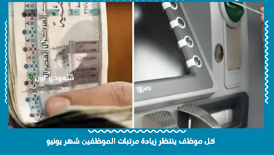 كل موظف ينتظر زيادة مرتبات الموظفين شهر يونيو