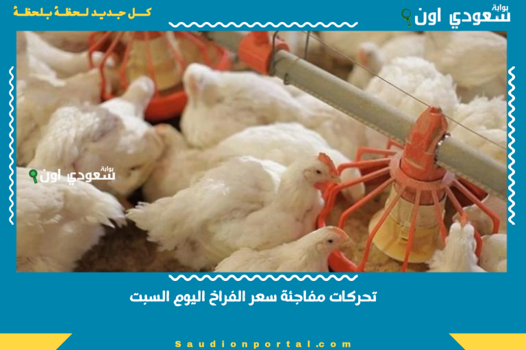 تحركات مفاجئة سعر الفراخ اليوم السبت