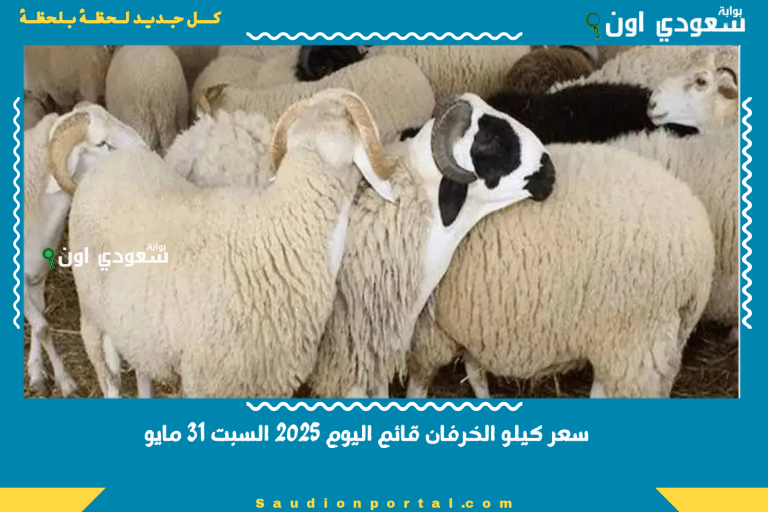 سعر كيلو الخرفان قائم اليوم 2025 السبت 31 مايو