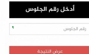 نتائج الصف الأول الإعدادي 2025