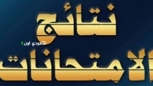 نتائج الفصل الثالث