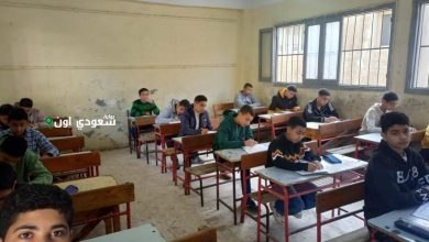نتائج صفوف النقل لجميع المراحل الدراسية في مصر