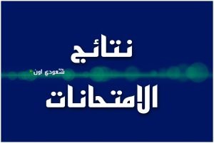 نتيجة السادس الإعدادي الدور الثاني