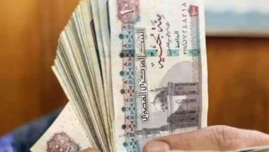 نظام المعاشات المصري الجديد