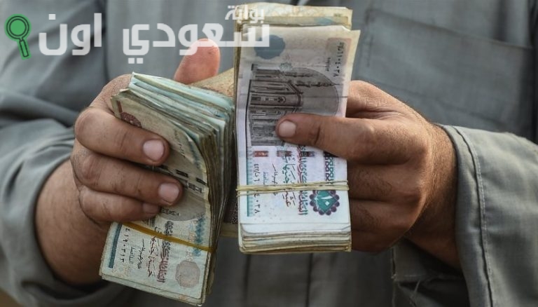 نظام المعاشات المصري الجديد