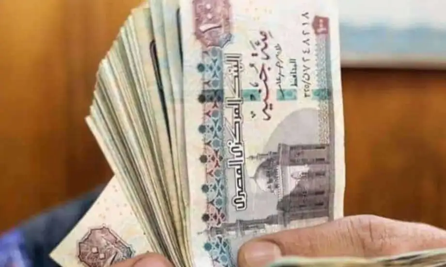 نظام المعاشات المصري الجديد
