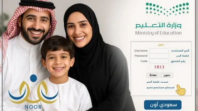 نظام نور