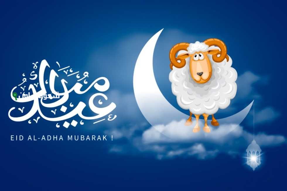 هذه الدول تخالف السعودية