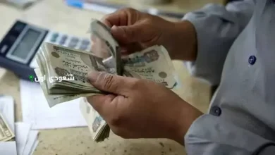 وزارة المالية