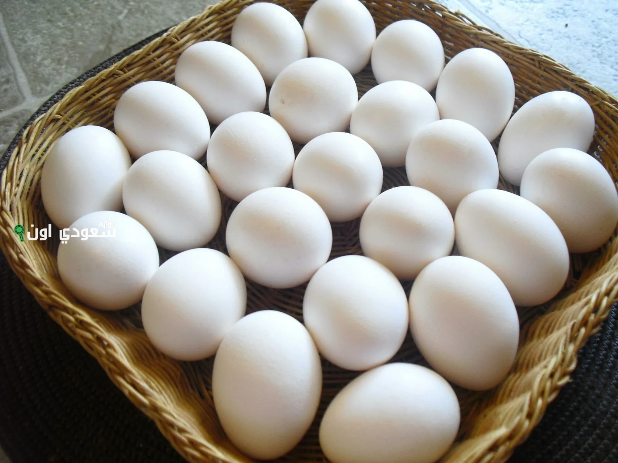 أسعار البيض في مصر اليوم