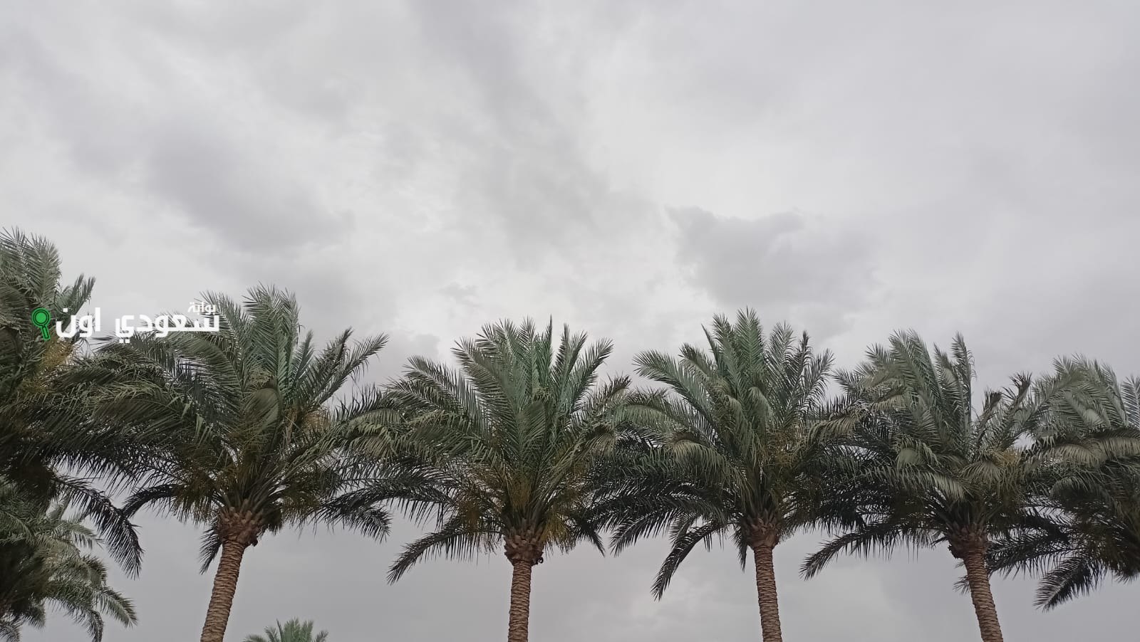 الأرصاد المصرية تعلن عن طقس شديد الحرارة في صعيد مصر خلال أيام العيد