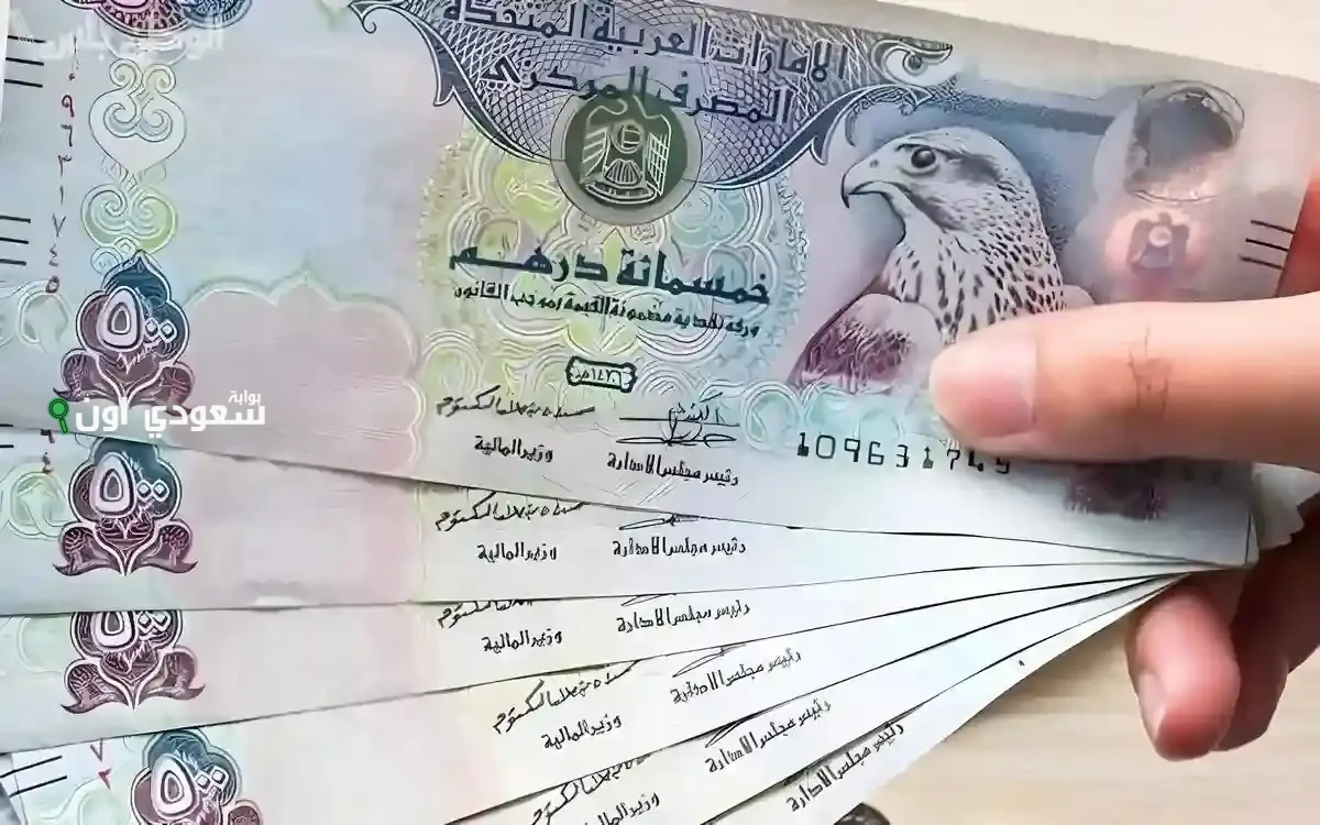 الإمارات تحدد موعد صرف معاشات شهر يونيو للمتقاعدين