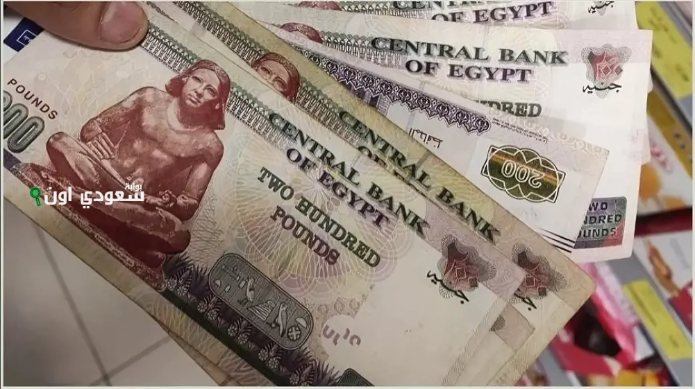 التأمين الاجتماعي يوضح قيمة المعاشات بعد الزيادة