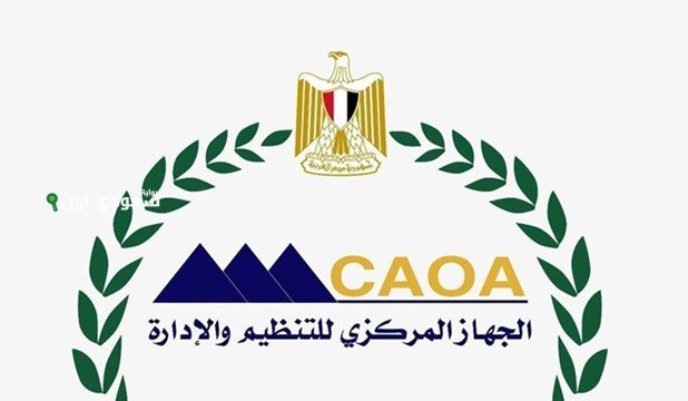 الجهاز المركزي للتنظيم والإدارة يطرح رابط التقديم على وظائف وزارة التعليم jobs.caoa.gov.eg
