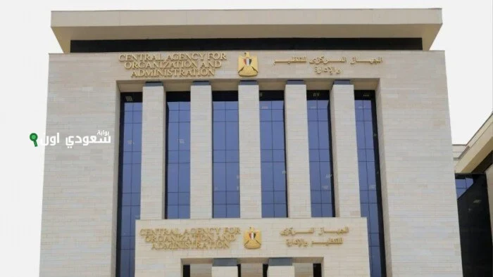 الجهاز المركزي للتنظيم والإدارة يوضح رواتب معلم مساعد