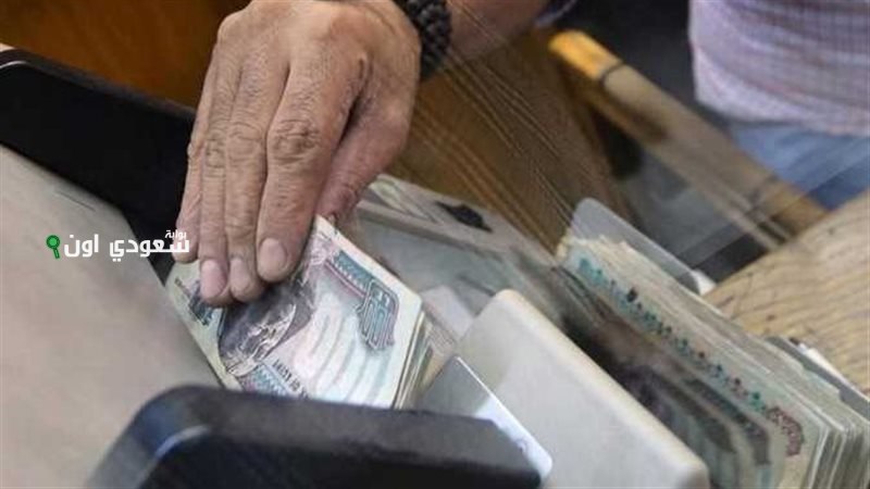 الحكومة تعلن قيمة الزيادة الجديدة في معاشات ورواتب شهر يوليو