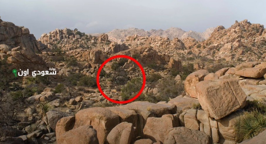 اختبار دقة الملاحظة