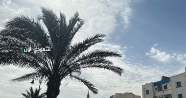 درجة الحرارة في هذه المحافظات هي الأعلى وهذه حالة الطقس في القاهرة والإسكندرية