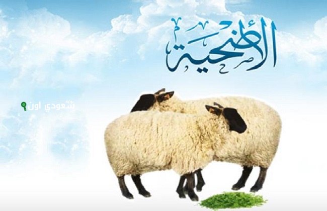 دعاء ذبح الاضحية في عيد الاضحي مكتوب