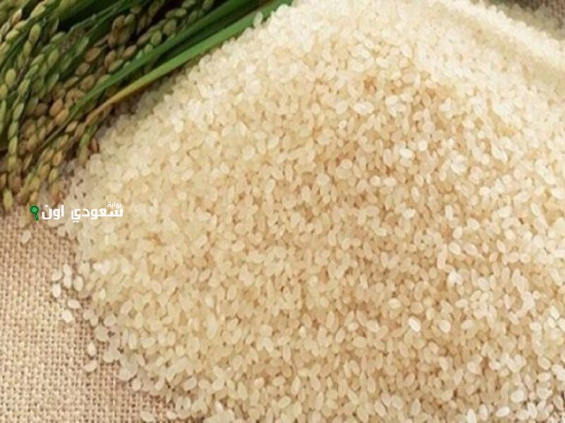 سعر الارز الشعير اليوم