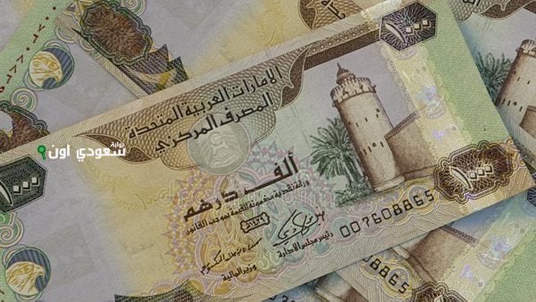 سعر الدرهم الإماراتي مقابل الجنيه المصري 16-6-2025 في البنك المركزي