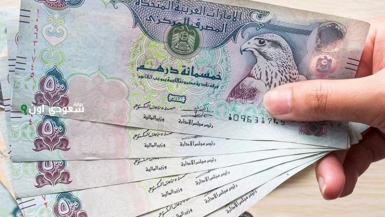 سعر الدرهم الاماراتي مقابل الجنيه المصري