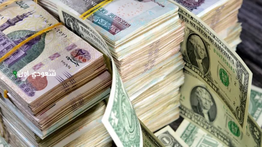 سعر الدولار اليوم في مصر 22 يونيو 2025