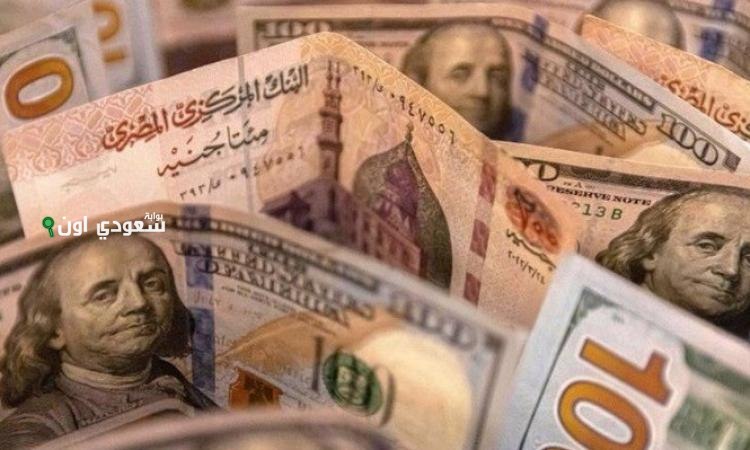 سعر الدولار امام الجنيه المصري اليوم