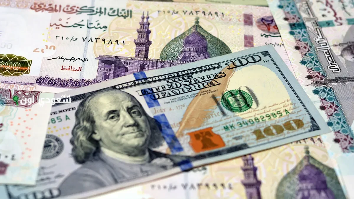 سعر الدولار مقابل الجنيه في السوق المصري اليوم