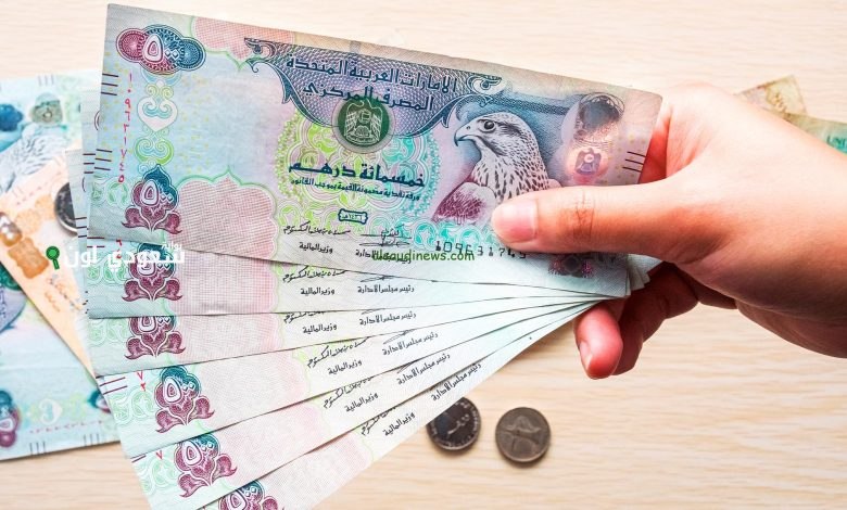 سعر الريال القطري والدرهم الإماراتي مقابل الجنيه المصري اليوم الأربعاء 18 يونيو 2025
