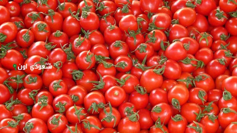 سعر الطماطم والبطاطس والبصل في مصر النهارده