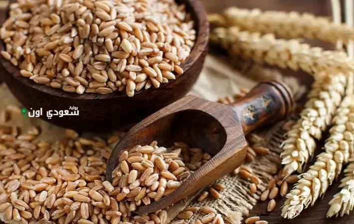 سعر طن الأرز الشعير اليوم السبت 21 يونيو وأحدث مؤشرات بورصة الحبوب